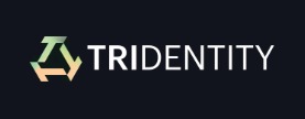 TRIDENT DIGITAL TECH HOLDING